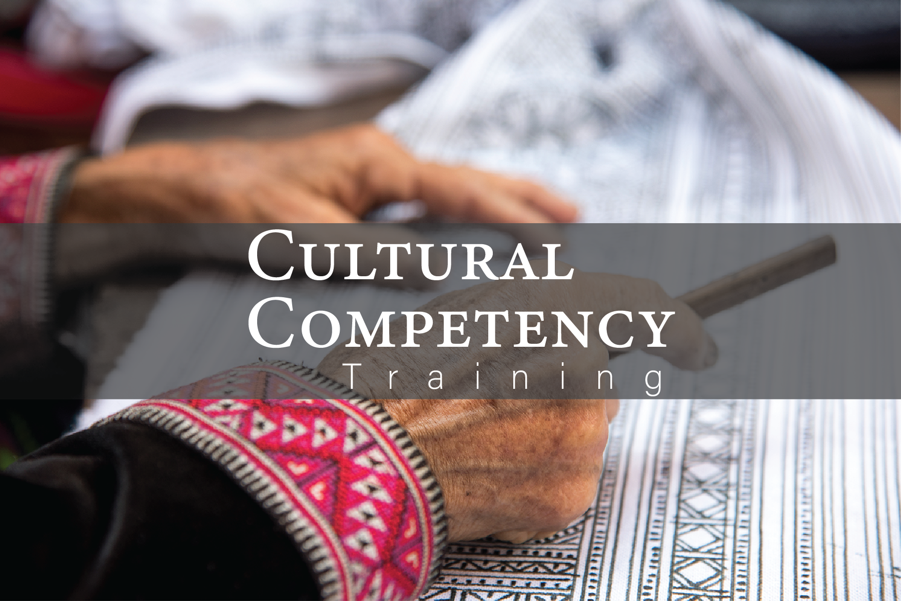 Cultural Competency Training