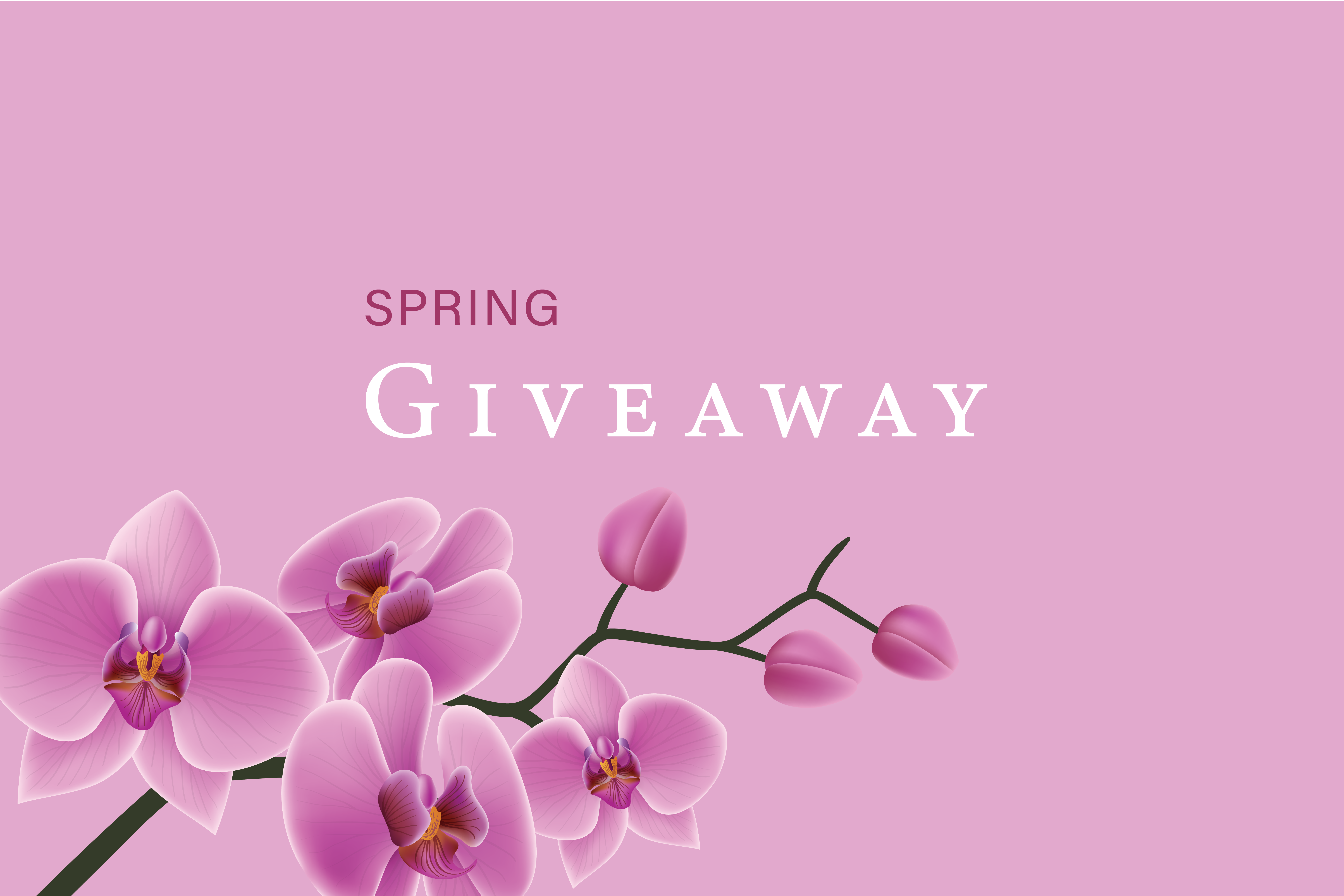 Spring Giveaway!