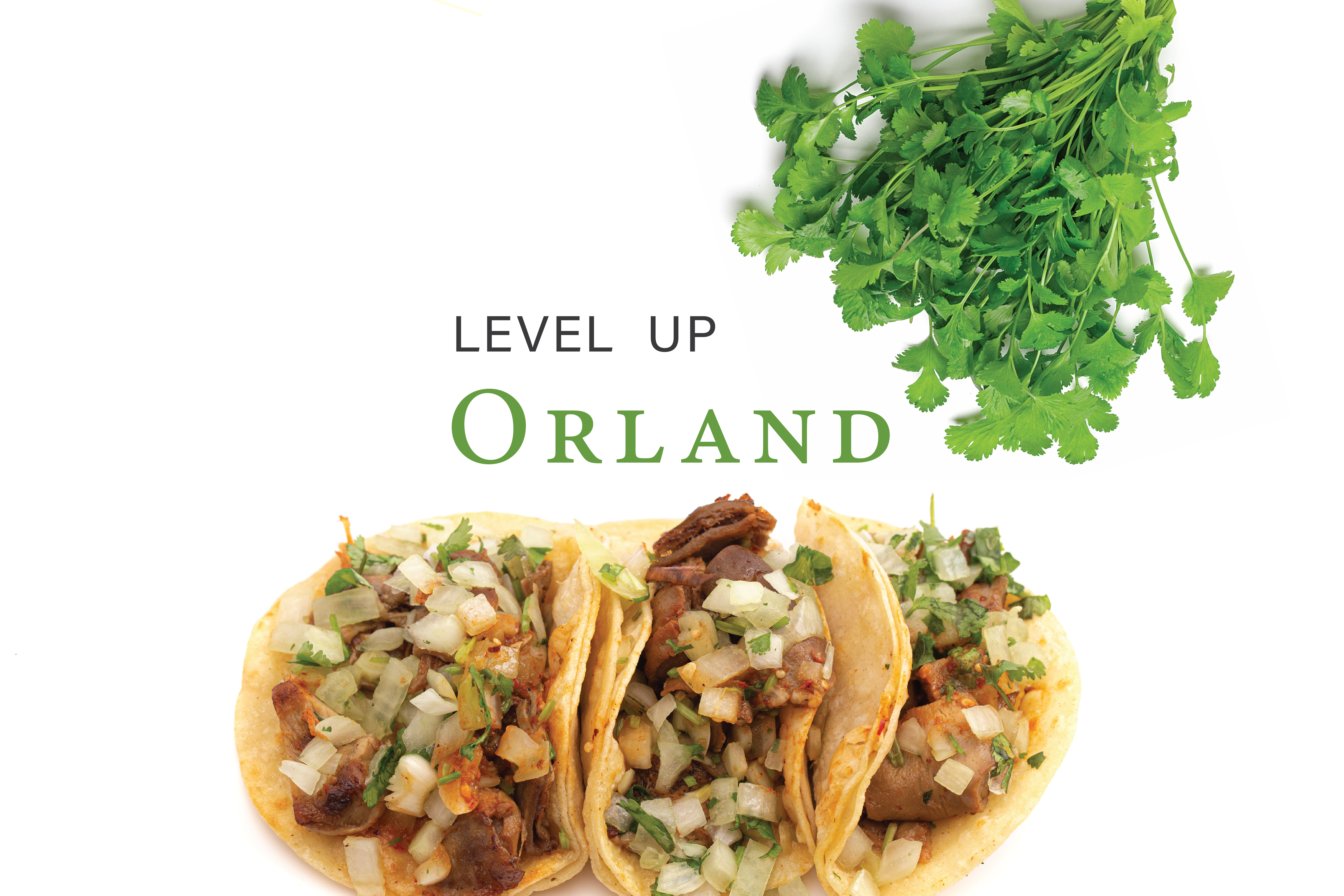 Level Up Orland!