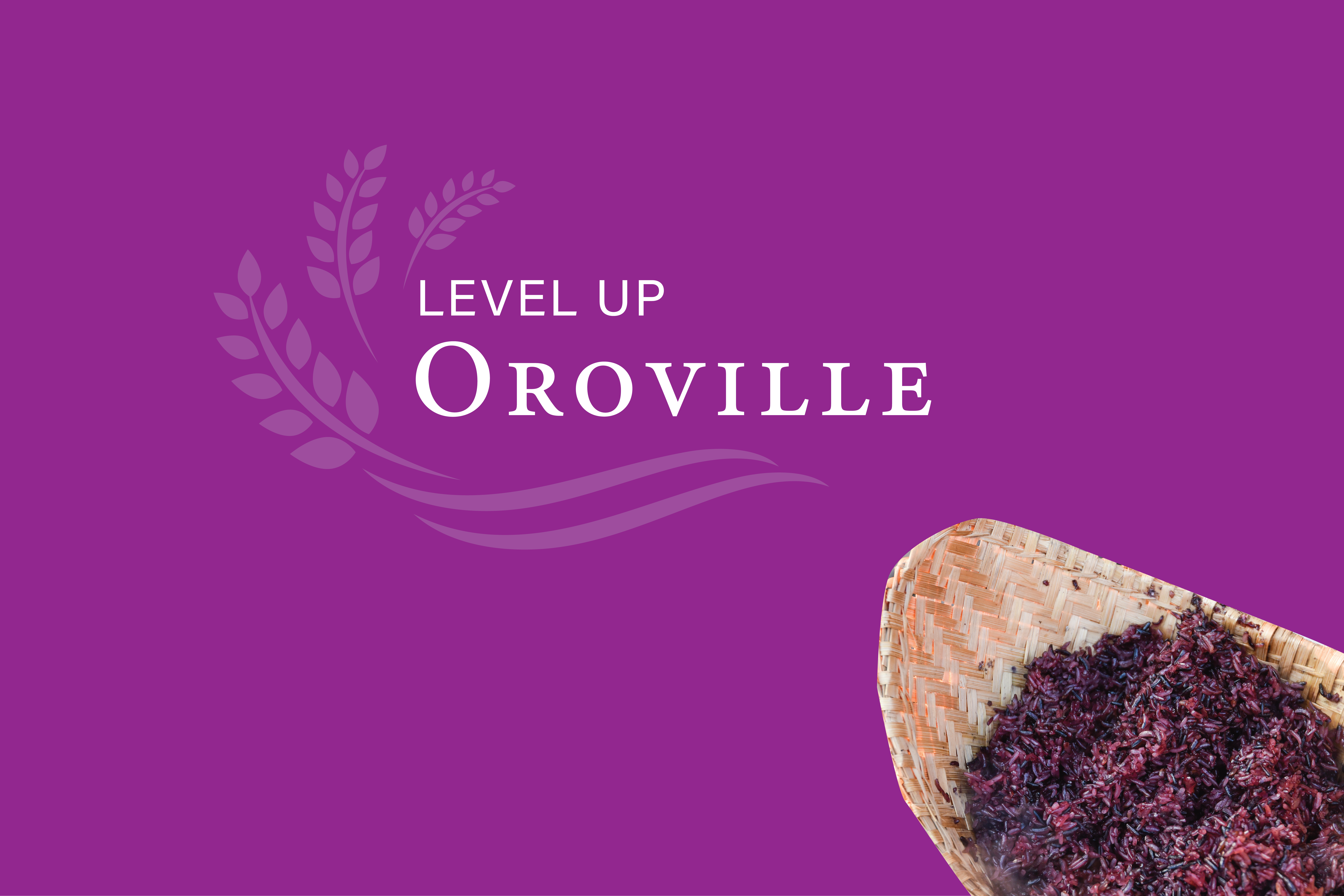 Level Up Oroville!