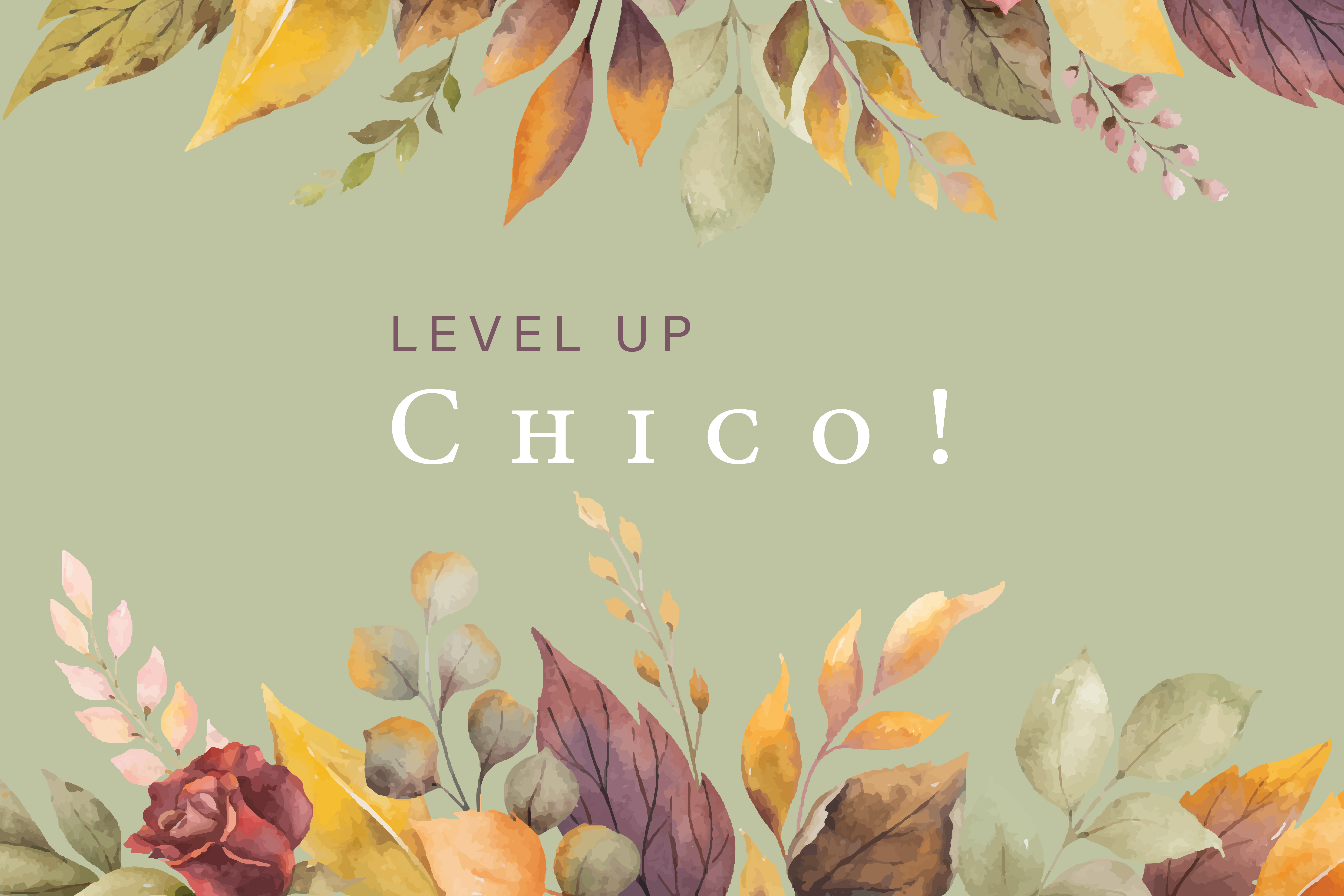 Level Up Chico!