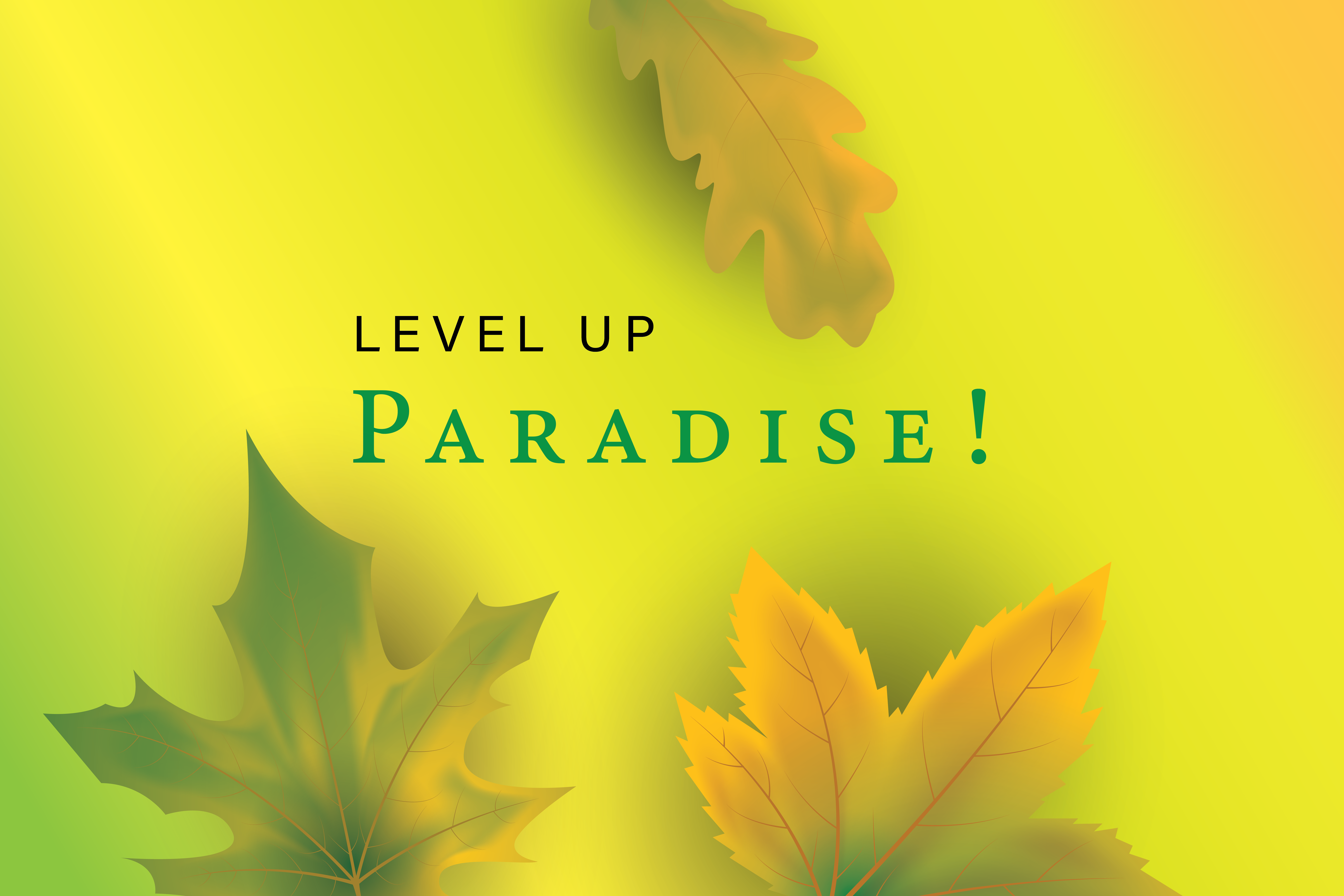 Level Up Paradise!