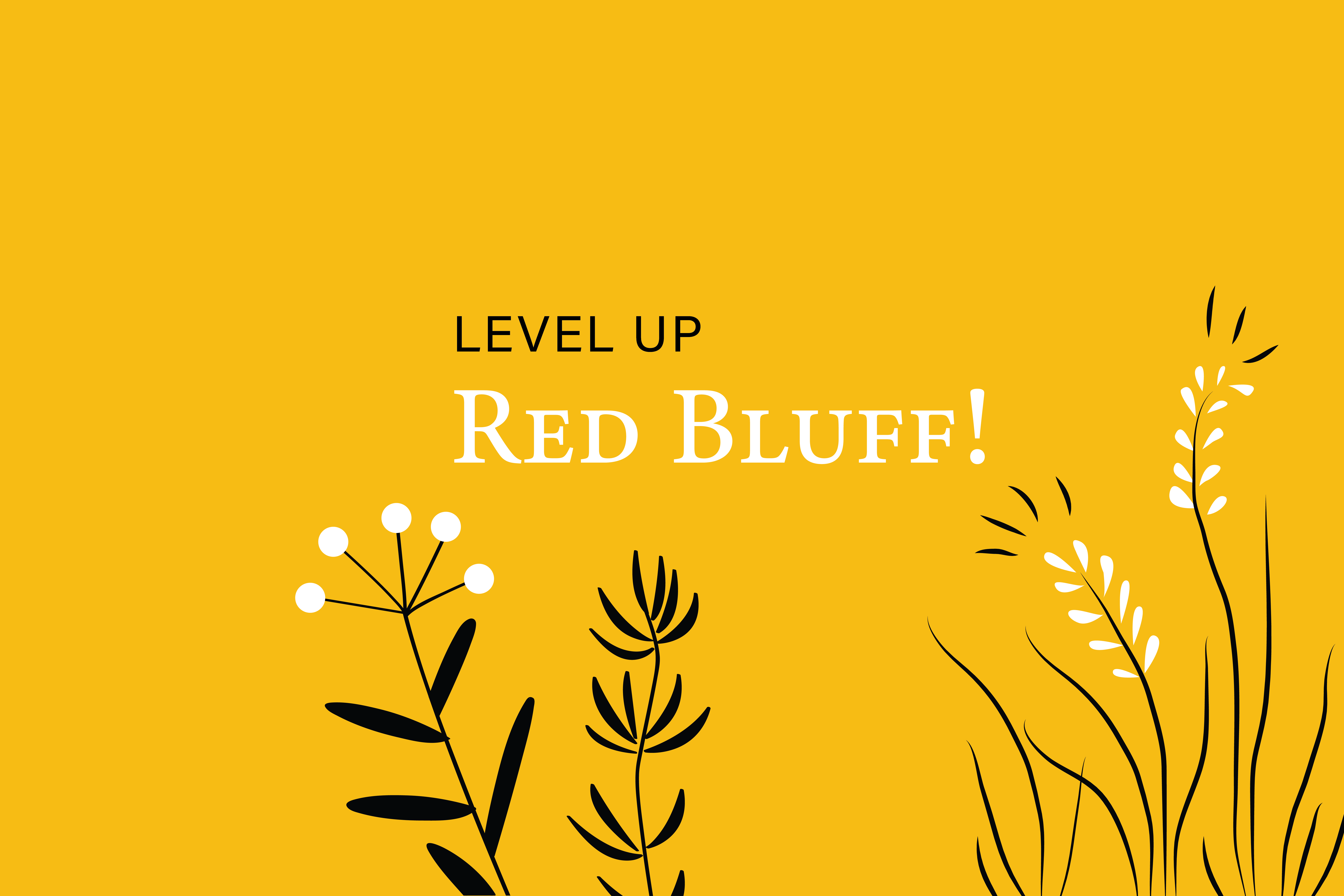 Level Up Red Bluff!