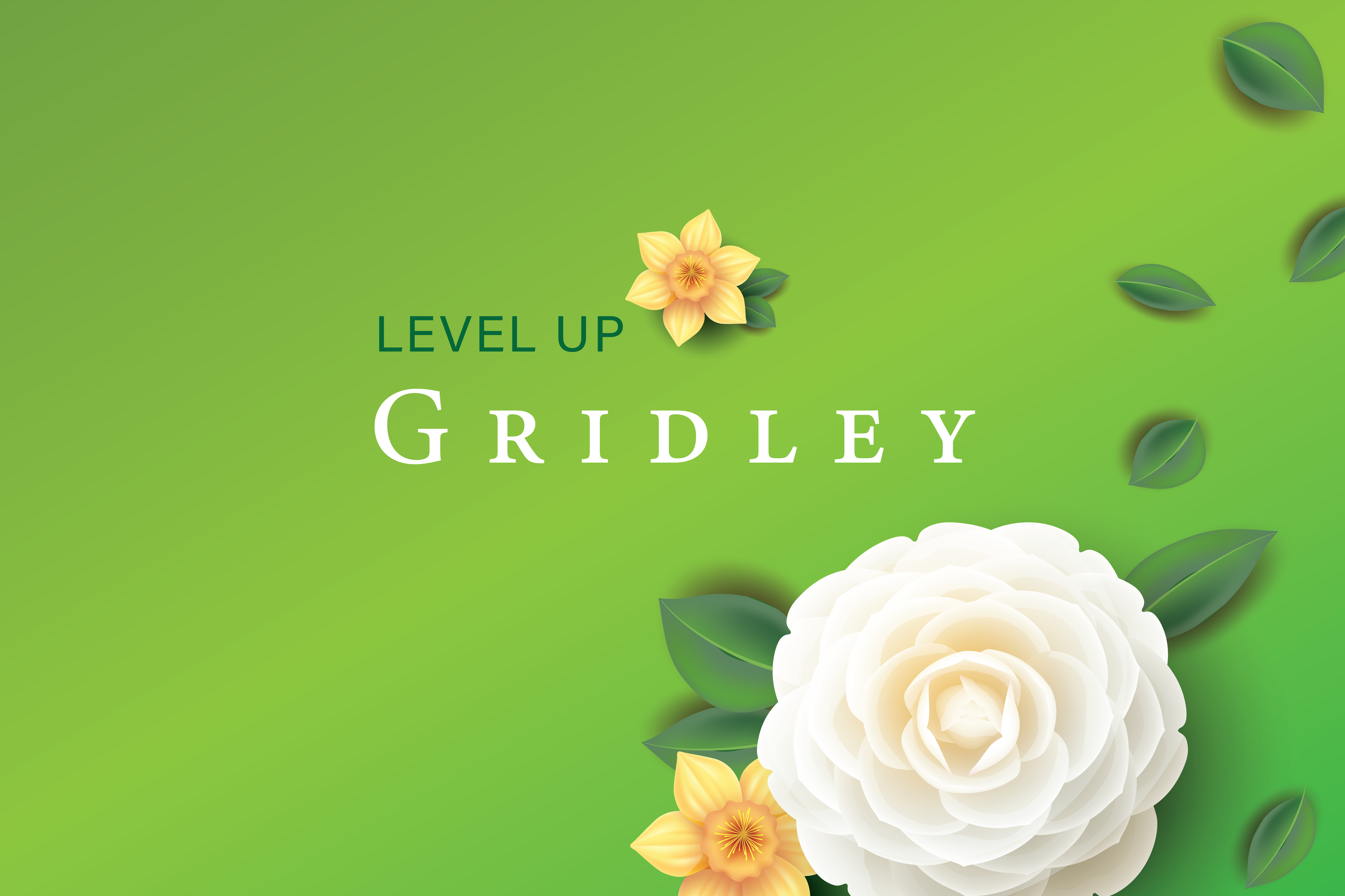 Level Up Gridley!