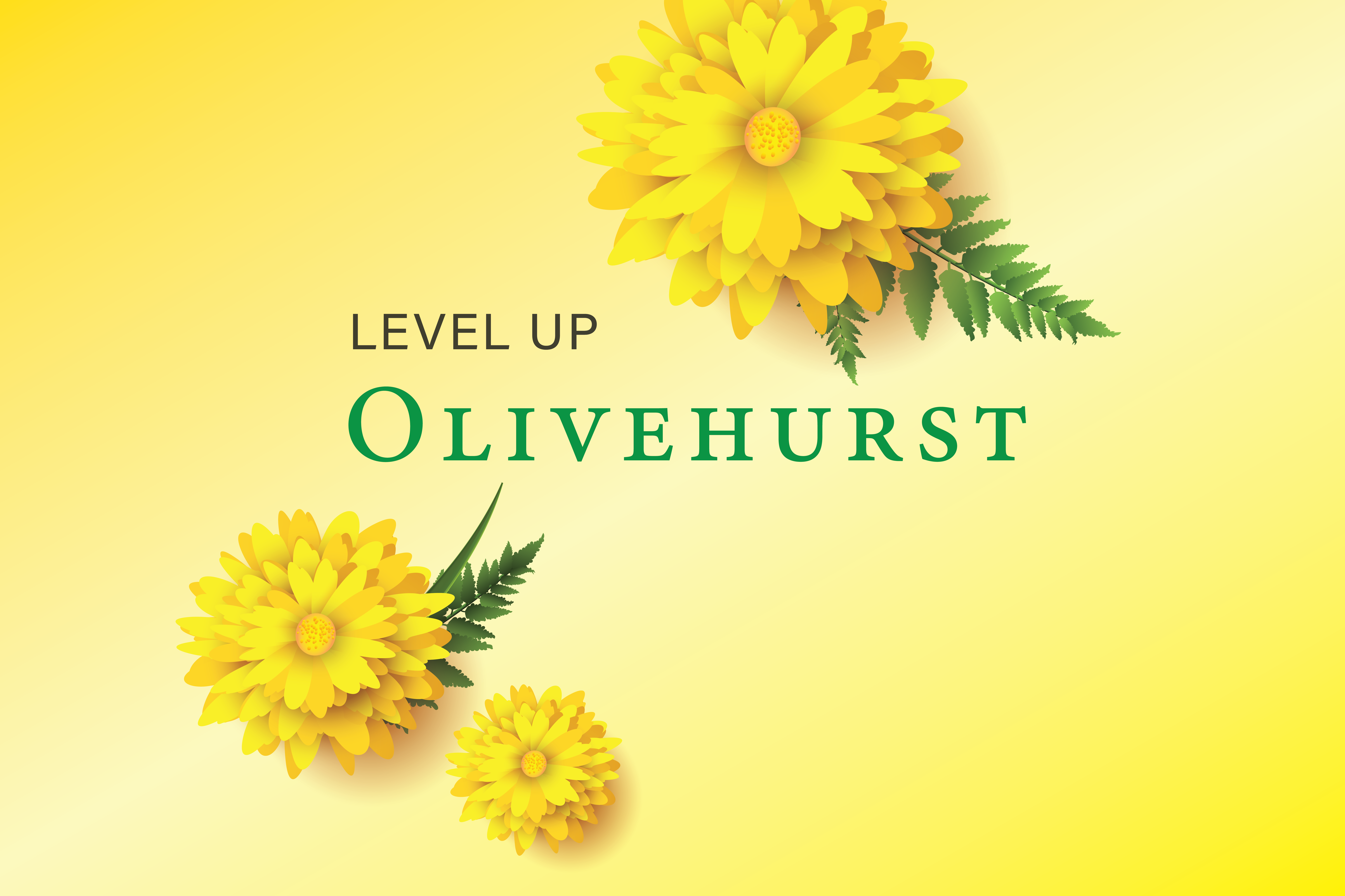 Level Up Olivehurst!